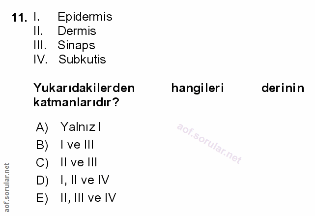 11. soru: 1. Epidermis Il. Dermis III. Sinaps IV. Subkutis Yukarıdakilerden hangileri derinin katmanlarıdır? A) Yalnızl B) I ve…