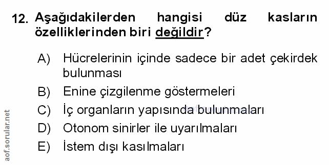 12. soru: Aşağıdakilerden hangisi duz kasların özelliklerinden biri değildir? A) Hücrelerinin içinde sadece bir adet çekirdek b…