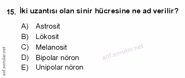 15. soru: İki uzantısı olan si nir hücresine ne ad verilir? A) Astrosit B) Lökosit C) Melanosit D) Bipolar nöron E) Unipolar nöron