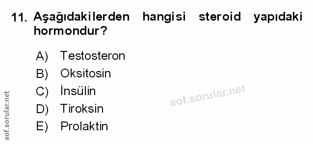 11. soru: Aşağıdakilerden hangisi steroid yapıdaki hormondur? A) Testosteron B) Oksitosin C) Insülin D) Tiroksin E) Prolaktin