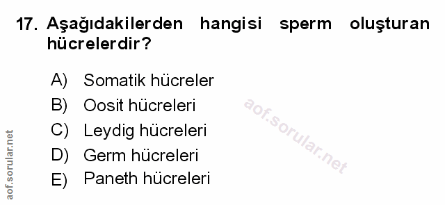17. soru: Aşağıdakilerden hangisi sperm oluşturan hücrelerdir? A) Somatik hücreler B) Oosit hücreleri C) Leydig hücreleri D) Ge…