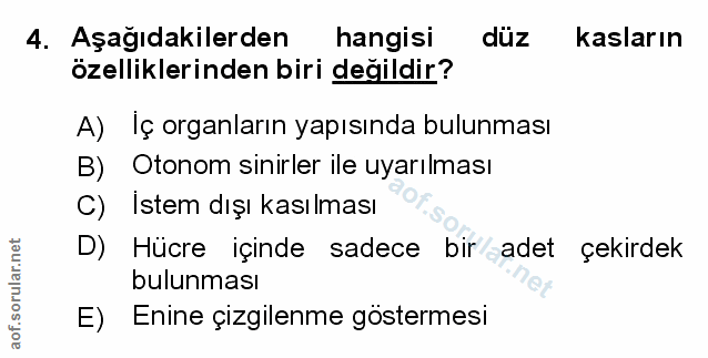 4. soru: Aşağıdakilerden hangisi duz kasların özelliklerinden biri değildir? A) Iç organların yapısında bulunması B) Otonom si…