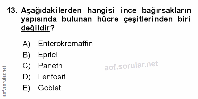 13. soru: Aşağıdakilerden hangisi ince bağırsakların yapısında bulunan hücre çeşitlerinden biri değildir? A) Enterokromaffin B)…