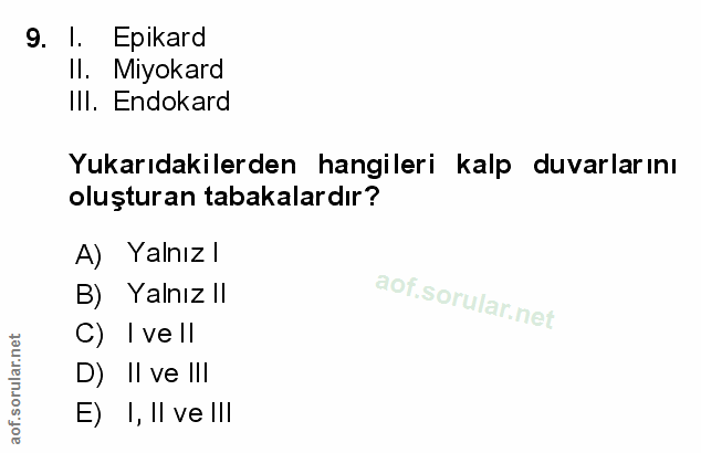 9. soru: l. Epikard Il. Miyokard IlI. Endokard Yukarıdakilerden hangileri kalp duvarlarını oluşturan tabakalardır? A) Yalnız l…