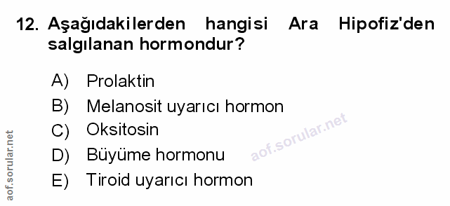 12. soru: Aşağıdakilerden hangisi Ara Hipofiz'den salgılanan hormondur? A) Prolaktin B) Melanosit uyarıcı hormon C) Oksitosin D…