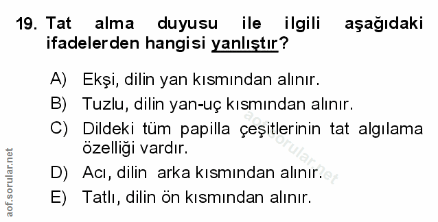 19. soru: Tat alma duyusu ile ilgili aşağıdaki ifadelerden hangisi yanlıştır? A) Ekşi, dilin yan kısmından alınır. B) Tuzlu, di…