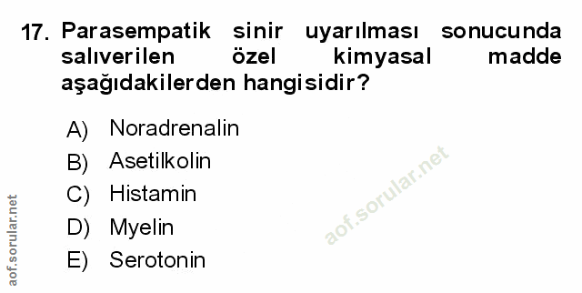 17. soru: Parasempatik sinir uyarılması sonucunda salıverilen özel kimyasal madde aşağıdakilerden hangisidir? A) Noradrenalin B…