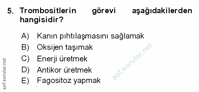 5. soru: Trombositlerin görevi aşağıdakilerden hangisidir? A) Kanın pıhtılaşmasını sağlamak B) Oksijen taşımak Enerji uretmek…