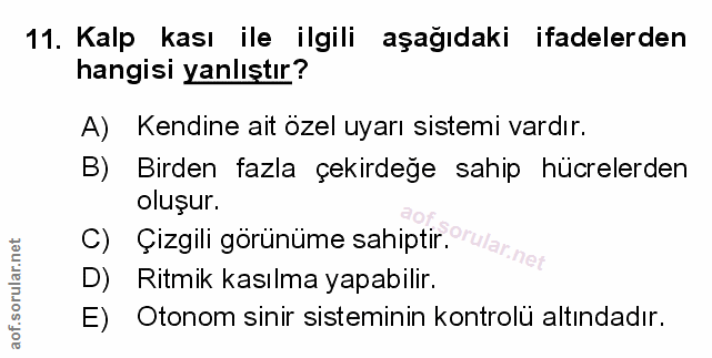 11. soru: Kalp kası ile ilgili aşağıdaki ifadelerden hangisi yanlıştır? A) Kendine ait özel uyarı sistemi vardır. B) Birden faz…