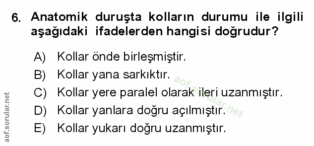 6. soru: Anatomik duruşta kolların durumu ile ilgili aşağıdaki ifadelerden hangisi doğrudur? A) Kollar önde birleşmiştir. B) K…