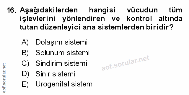 16. soru: Aşağıdakilerden hangisi vücudun tum işlevlerini yönlendiren ve kontrol altında tutan düzenleyici ana sistemlerden bir…