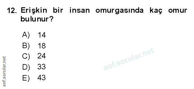 12. soru: Erişkin bir insan omurgasinda kaç omur bulunur? A) 14 B) 18 C) 24 33 E) 43