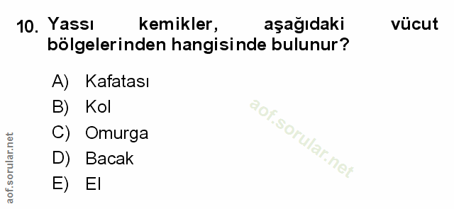10. soru: Yassı kemikler, aşağıdaki vücut bölgelerinden hangisinde bulunur? A) Kafatası B) Kol C) Omurga D) Bacak E) El