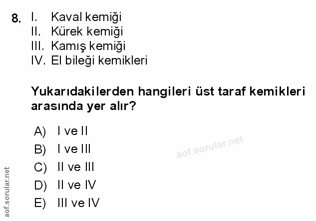 8. soru: 1. Kaval kemiği II. Kürek kemiği Ill. Kamış kemiği IV. EI bileği kemikleri Yukarıdakilerden hangileri üst taraf kemik…