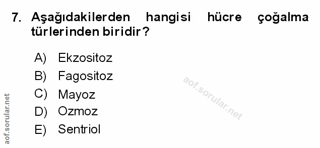7. soru: Aşağıdakilerden hangisi hücre çogalma türlerinden biridir? A) Ekzositoz B) Fagositoz C) Mayoz D) Ozmoz E) Sentriol