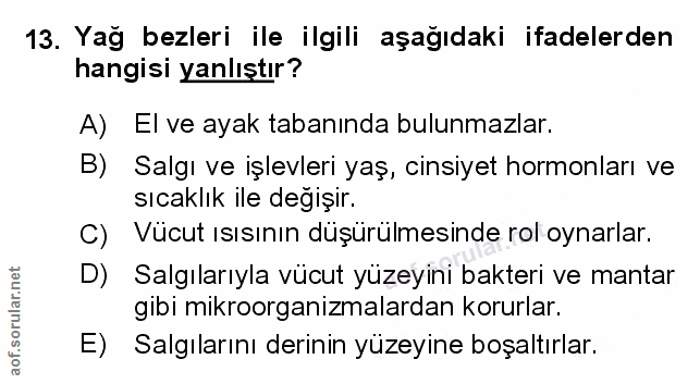 13. soru: Yag bezleri ile ilgili aşağıdaki ifadelerden hangisi yanlıştır? A) El ve ayak tabanında bulunmazlar. B) Salgı ve işle…
