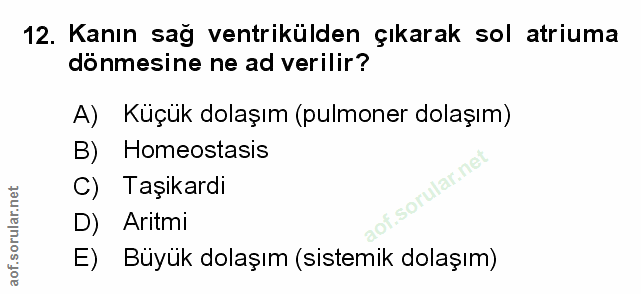 12. soru: Kanın sağ ventrikülden çıkarak sol atriuma dönmesine ne ad verilir? A) Küçük dolaşım (pulmoner dolaşım) B) Homeostasi…