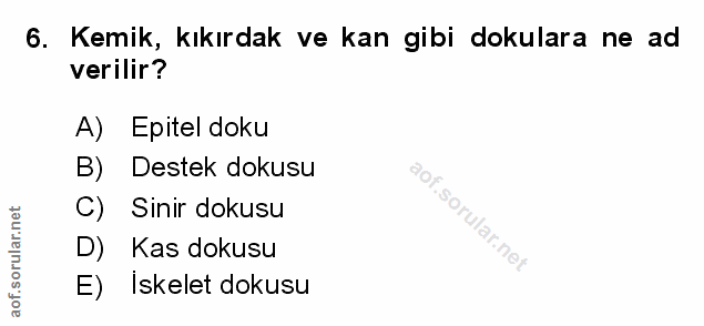6. soru: Kemik, kıkırdak ve kan gibi dokulara ne ad verilir? A) Epitel doku B) Destek dokusu C) Sinir dokusu D) Kas dokusu E)…