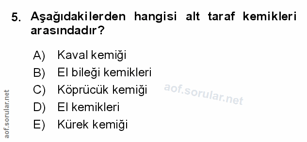 5. soru: Aşağıdakilerden hangisi alt taraf kemikleri arasındadır? A) Kaval kemiği B) El bileği kemikleri C) Köprücük kemiği D)…