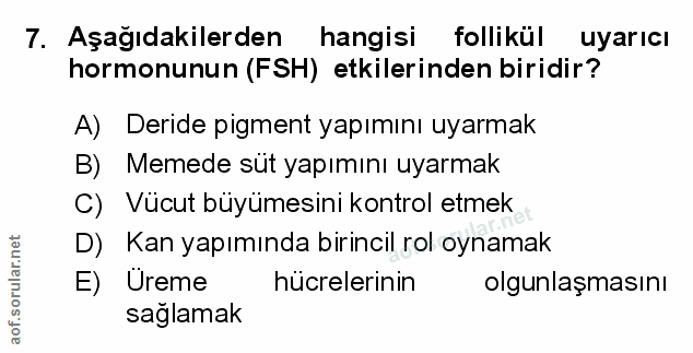7. soru: Aşağıdakilerden hangisi follikul uyarıcı hormonunun (FSH) etkilerinden biridir? A) Deride pigment yapımını uyarmak B)…