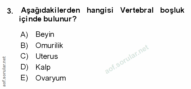 3. soru: Aşağıdakilerden hangisi Vertebral boşluk içinde bulunur? A) Beyin B) Omurilik C) Uterus D) Kalp E) Ovaryum