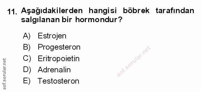 11. soru: Aşağıdakilerden hangisi böbrek tarafından salgılanan bir hormondur? A) Estrojen B) Progesteron C) Eritropoietin D) Ad…