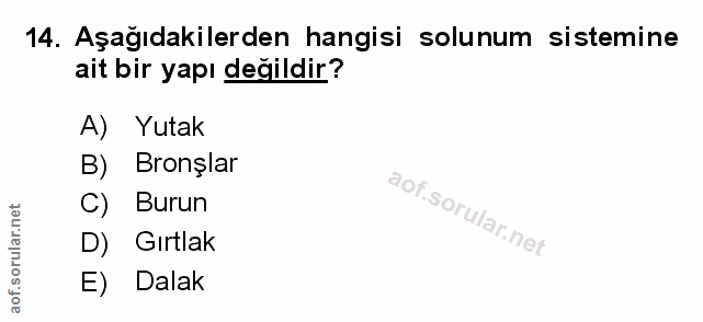 14. soru: Aşağıdakilerden hangisi solunum sistemine ait bir yapı değildir? A) Yutak B) Bronşlar C) Burun D) Gırtlak E) Dalak