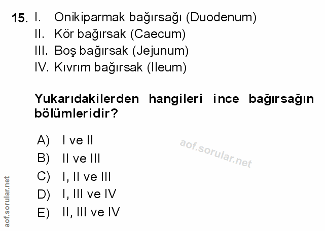 15. soru: I. Onikiparmak bağırsağı (Duodenum) II. Kör bağırsak (Caecum) Ill. Boş bağırsak (Jejunum) IV. Kıvrım bağırsak (Ileum)…