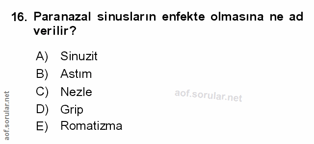 16. soru: Paranazal sinusların enfekte olmasına ne ad verilir? A) Sinuzit B) Astım C) Nezle D) Grip E) Romatizma