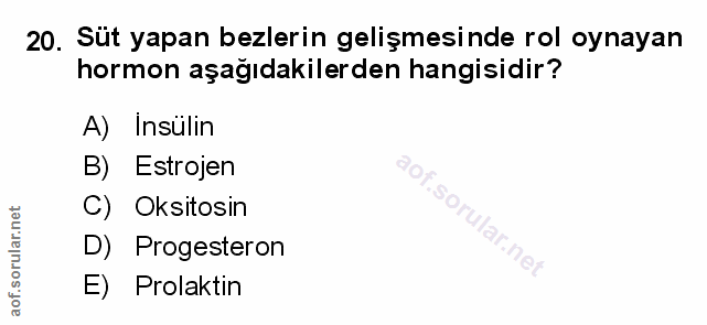20. soru: Süt yapan bezlerin gelişmesinde rol oynayan hormon aşağıdakilerden hangisidir? A) Insülin B) Estrojen C) Oksitosin D)…