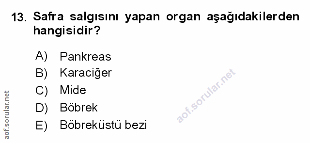 13. soru: Safra salgısını yapan organ aşağıdakilerden hangisidir? A) Pankreas B) Karaciger C) Mide D) Böbrek E) Böbreküstü bezi