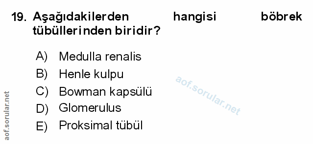19. soru: Aşağıdakilerden hangisi böbrek tübüllerinden biridir? A) Medulla renalis B) Henle kulpu C) Bowman kapsülü D) Glomerul…