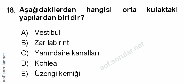 18. soru: Aşağıdakilerden hangisi orta kulaktaki yapılardan biridir? A) Vestibül B) Zar labirint C) Yarımdaire kanalları .sorul…
