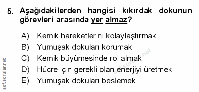 5. soru: Aşağıdakilerden hangisi kıkırdak dokunun görevleri arasında yer almaz? A) Kemik hareketlerini kolaylaştırmak B) Yumuş…