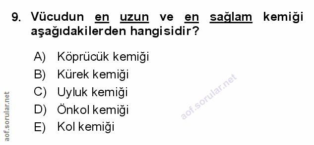9. soru: Vücudun en uzun ve en sağlam kemiği aşağıdakilerden hangisidir? A) Köprücük kemiği B) Kürek kemiği C) Uyluk kemiği D)…