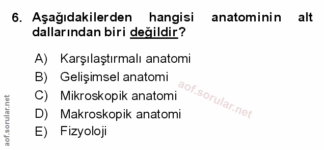 6. soru: Aşağıdakilerden hangisi anatominin alt dallarından biri değildir? A) Karşılaştırmalı anatomi B) Gelişimsel anatomi Mi…