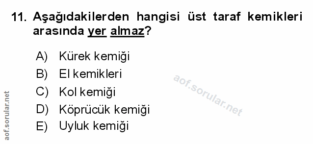 11. soru: Aşağıdakilerden hangisi üst taraf kemikleri arasında yer almaz? A) Kurek kemıgı B) El kemikleri C) Kol kemiği D) Kopr…