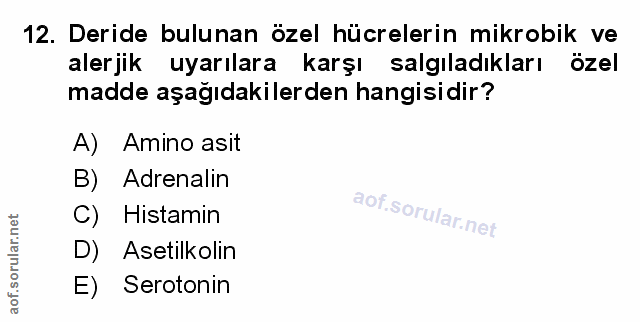 12. soru: Deride bulunan özel hücrelerin mikrobik ve alerjik uyarılara karşı salgıladıkları özel madde aşağıdakilerden hangisid…