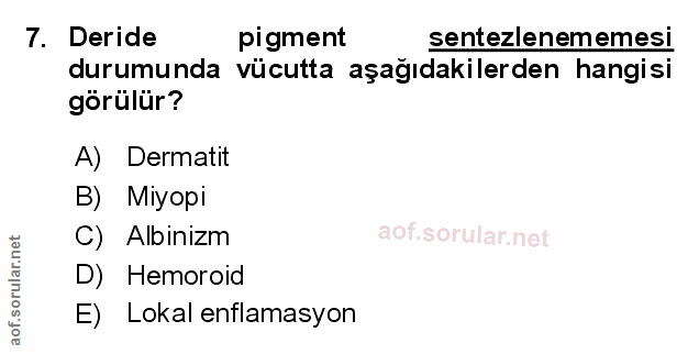 7. soru: Deride pigment sentezlenememesi durumunda vücutta aşağıdakilerden hangisi görülür? A) Dermatit B) Miyopi C) Albinizm…