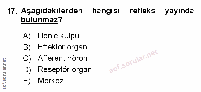 17. soru: Aşağıdakilerden hangisi refleks yayında bulunmaz? A) Henle kulpu B)E Effektör organ C) Afferent nöron D) Reseptör org…