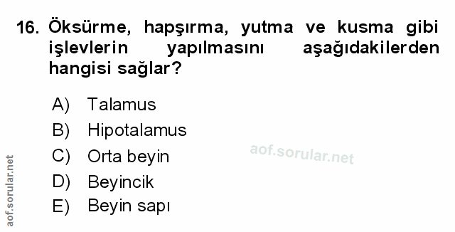 16. soru: Öksürme, hapşırma, yutma ve kusma gibi işlevlerin yapılmasını aşağıdakilerden hangisi sağlar? A) Talamus B) Hipotalam…