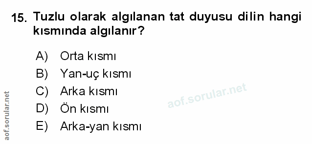 15. soru: Tuzlu olarak algılanan tat duyusu dilin hangi kısmında algılanır? A) Orta kısmı B) Yan-uç kısmı C) Arka kısmı D) Ön k…