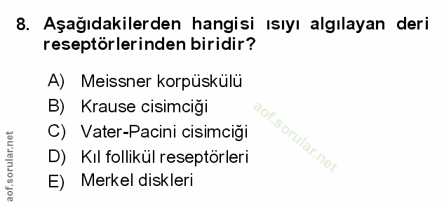8. soru: Aşağıdakilerden hangisi ısıyı algılayan deri reseptörlerinden biridir? A) Meissner korpüskülü B) Krause cisimciği C)…