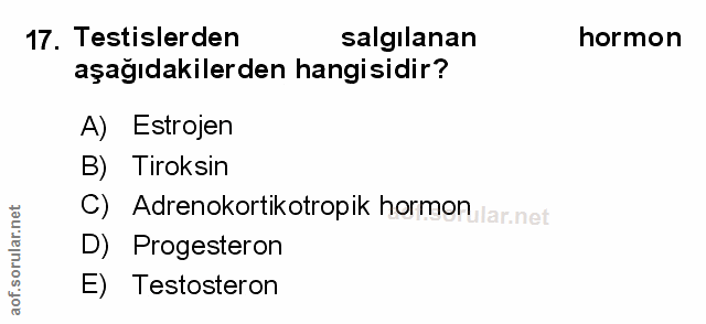 17. soru: Testislerden salgilanan hormon aşağıdakilerden hangisidir? A) Estrojen B) Tiroksin C) Adrenokortikotropik hormon D) P…