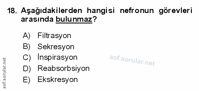 18. soru: Aşağıdakilerden hangisi nefronun görevleri arasında bulunmaz? A) Filtrasyon B) Sekresyon C) Inspirasyon D) Reabsorbsi…