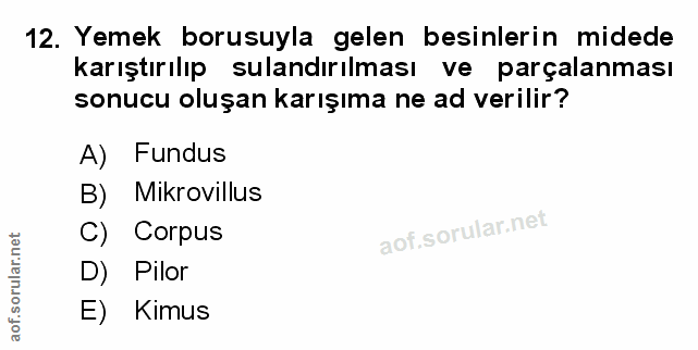 12. soru: Yemek borusuyla gelen besinlerin midede karıştırılıp sulandırılması ve parçalanması sonucu oluşan karışıma ne ad veri…