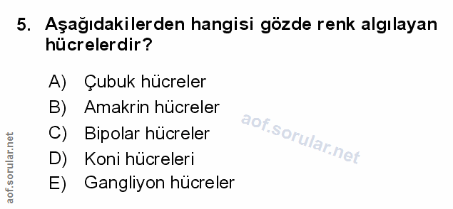 5. soru: Aşağıdakilerden hangisi gözde renk algılayan hücrelerdir? A) Çubuk hücreler B) Amakrin hücreler C) Bipolar hücreler D…
