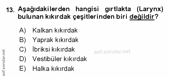 13. soru: Aşağıdakilerden hangisi gırtlakta (Larynx) bulunan kıkırdak çeşitlerinden biri değildir? A) Kalkan kıkırdak B) Yaprak…