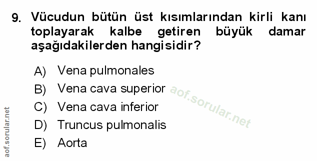 9. soru: Vücudun bütün üst kısımlarından kirli kanı toplayarak kalbe getiren büyük damar aşağıdakilerden hangisidir? B) Vena c…