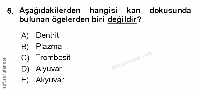 6. soru: Aşağıdakilerden hangisi kan dokusunda bulunan ögelerden biri değildir? A) Dentrit B) Plazma C) Trombosit D) Alyuvar E…